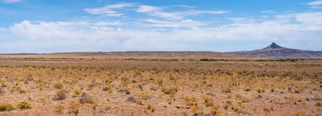 5 Acres in Navajo County, AZ