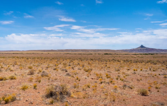 5 Acres in Navajo County, AZ