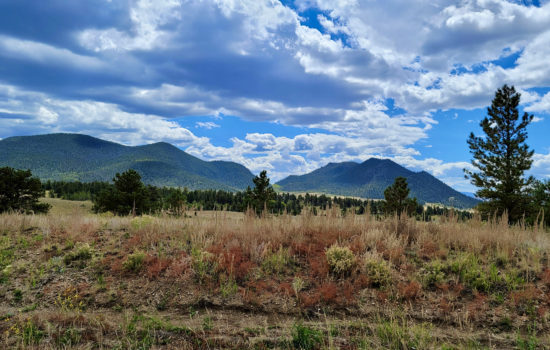 4.98 Acres in Park County! Perfect Land